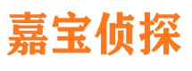 紫金市侦探调查公司